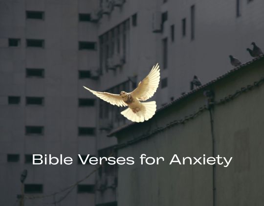 40 Bible Verses for Anxiety Scripture Passages for Peace and Comfort