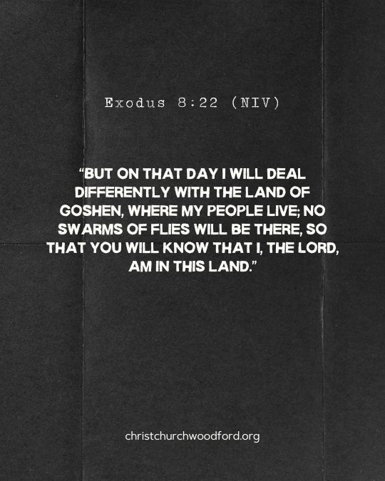 Exodus 8:22 (NIV) Ten Plagues of Egypt