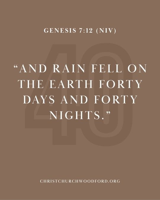 Genesis 7:12 (NIV) bible verse for number 40