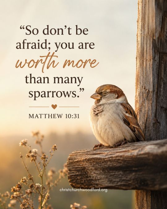 Matthew 10:31 Bible verse for fear