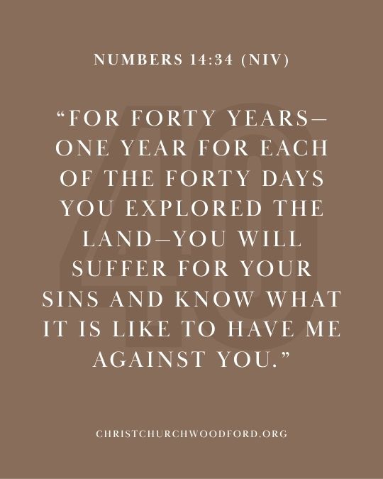 Numbers 14:34 (NIV) bible verse for number 40