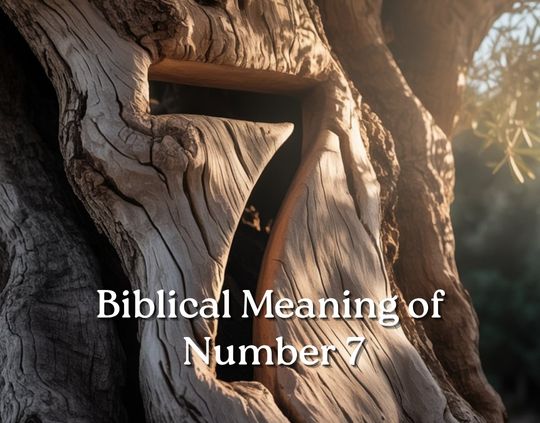 The Biblical Meaning of Number 7_ Why God's Favorite Number Changed Everything