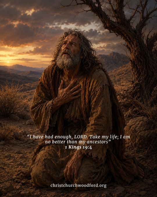 1 Kings 19:4 Elijah sat down under a broom tree and wanted to give up his life
