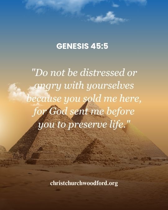 Genesis 455 Bible verse for
