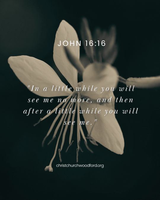 John 16:16 bible verse for grieving