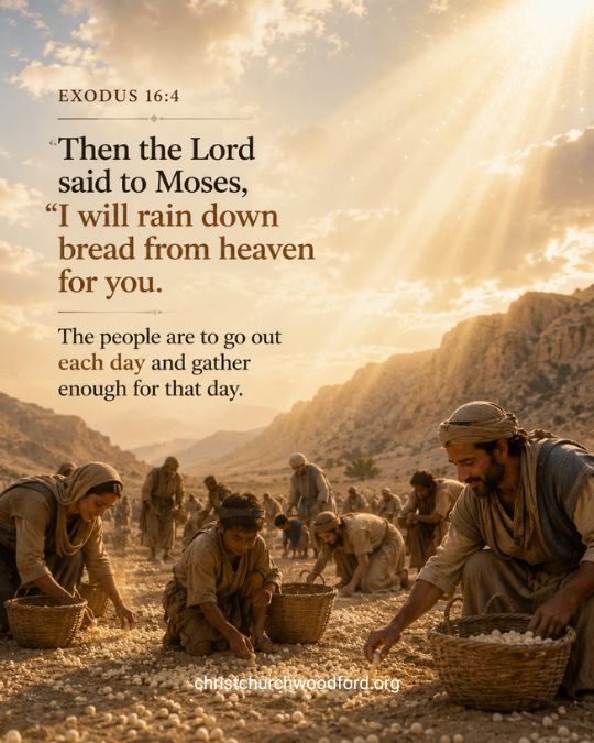 Bible verse about bread Exodus 16_4