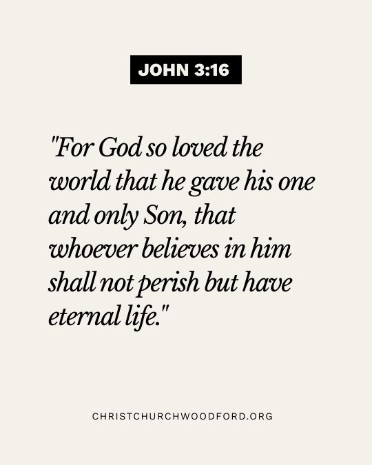 John 3:16 bible verses for beginner
