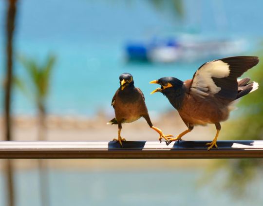 56 Bible Verses for Anger Finding God's Peace When Emotions Flare