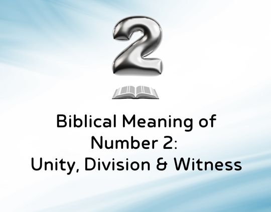 Biblical Meaning of Number 2 Unity, Division & Witness