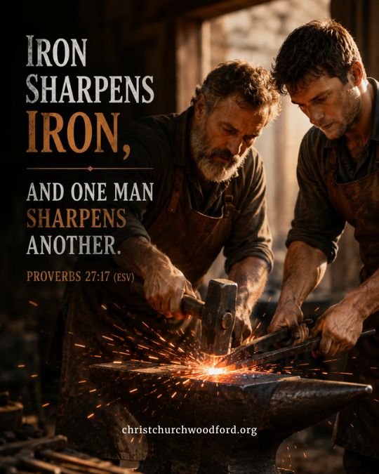 Proverbs 27:17 Bible Verses about Friendship
