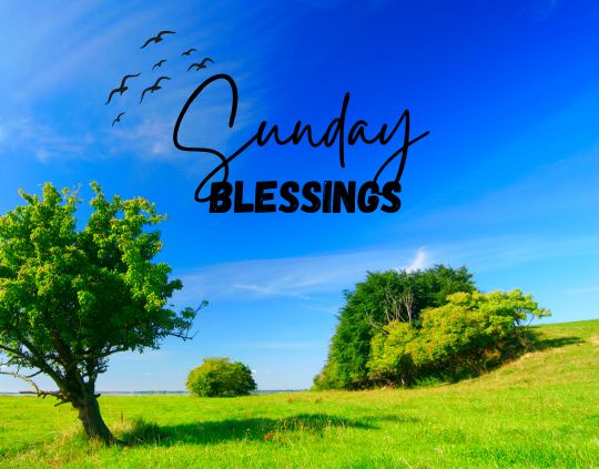 5 Sunday Blessings
