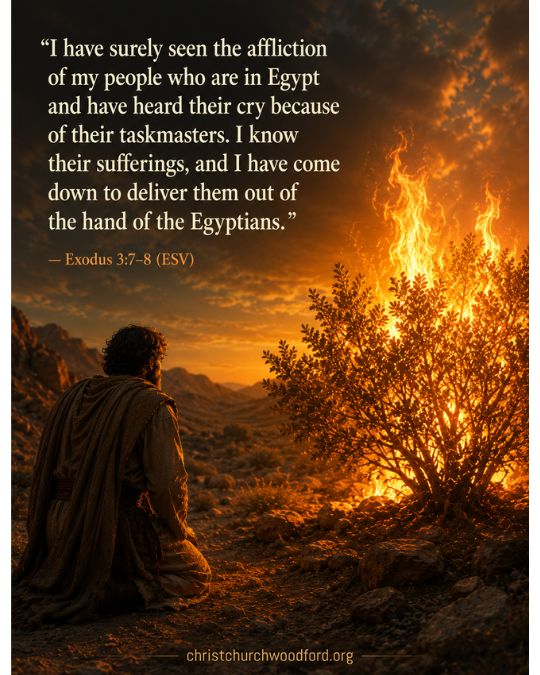 God Calls Moses to Deliver Israel Exodus 3_7–8