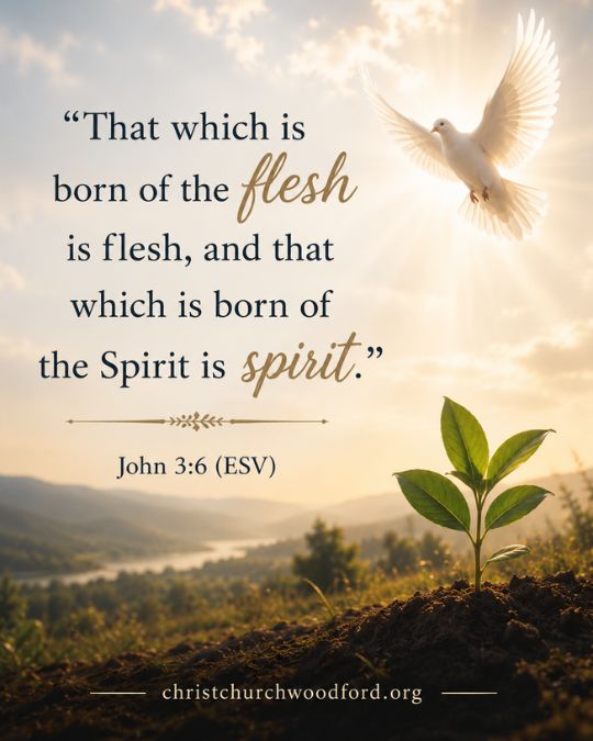 Holy Spirit Regenerates Believers John 3_6 (ESV)