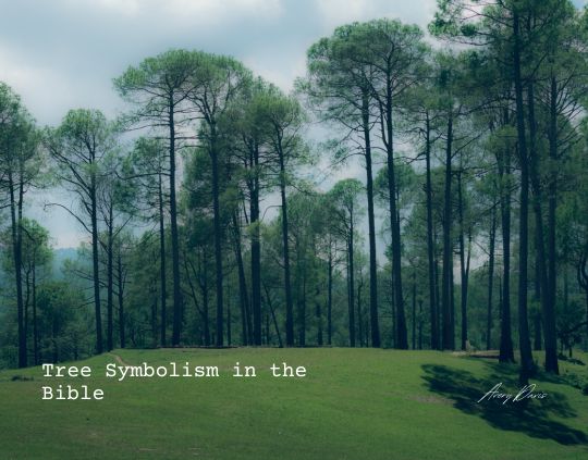 Tree Symbolism in the Bible What Trees Represent Throughout Scripture