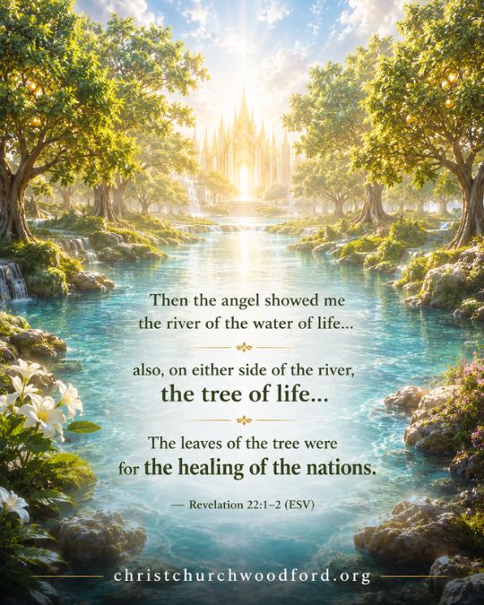 Biblical symbolism of trees Revelation 22_1–2