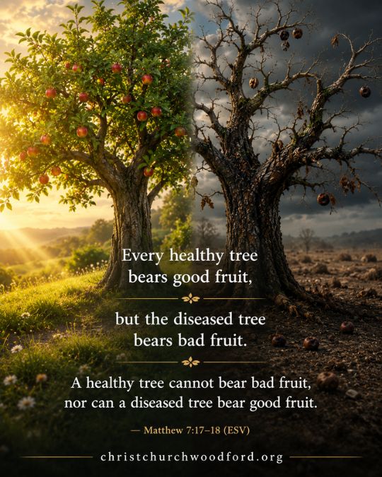 Matthew 7_17–18 Trees Symbolize Spiritual Fruitfulness