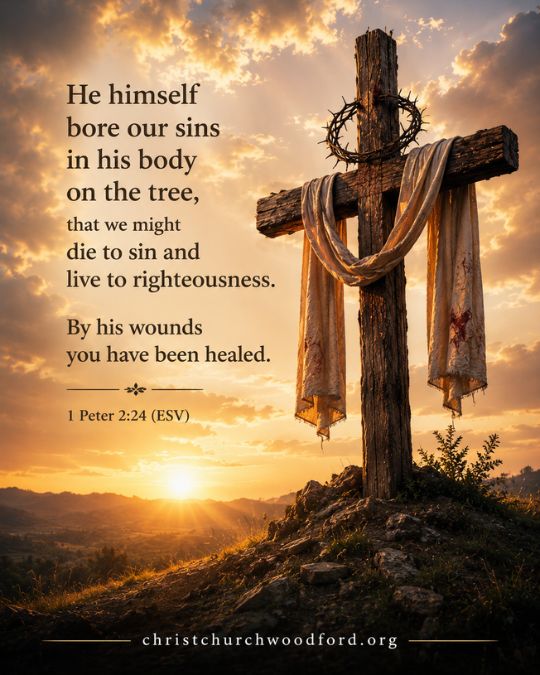 The Cross_ The Most Important _Tree_ in the Bible 1 Peter 2_24 (ESV)