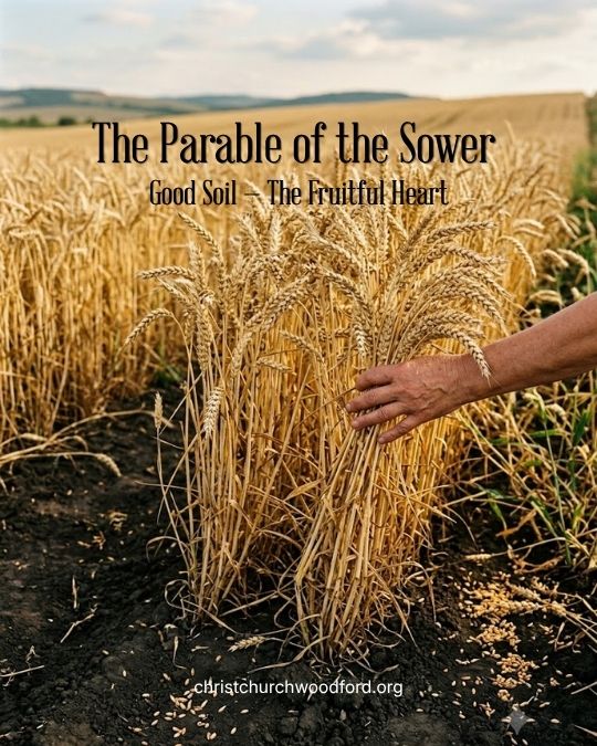 The Parable of the Sower Good Soil — The Fruitful Heart