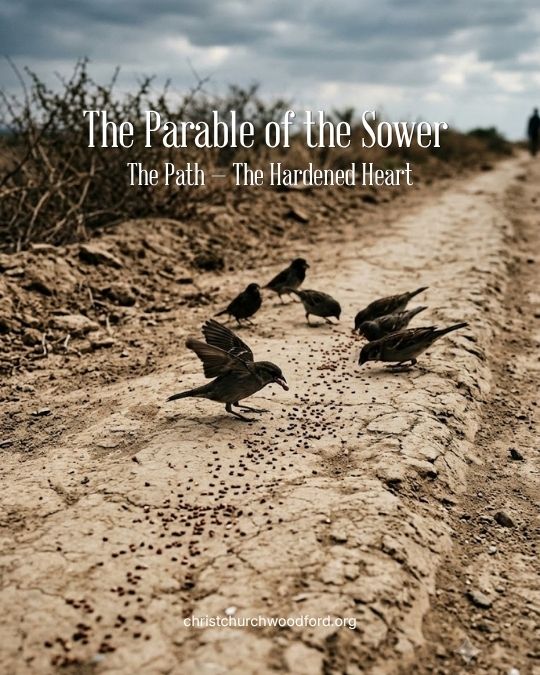 The Parable of the Sower - the hard path