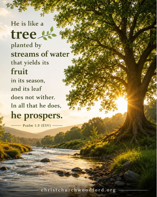 Trees symbolism in the Bible Psalm 1_3