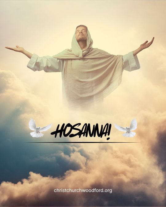 What Does Hosanna Mean in the Bible