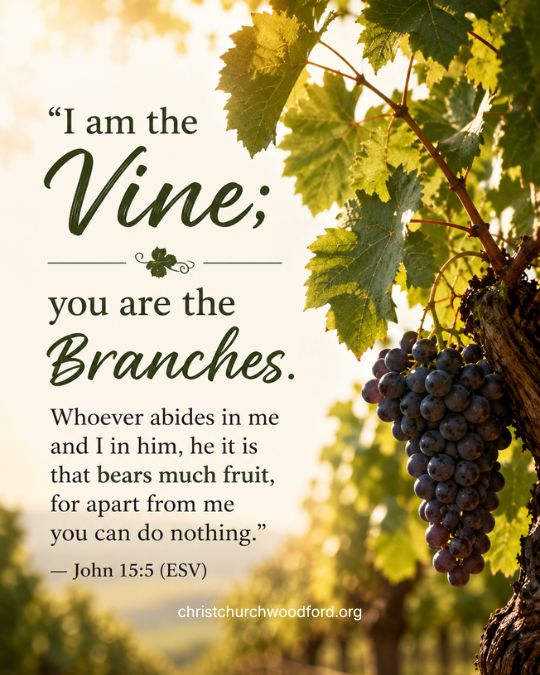 Where Are the Fruits of the Spirit Found in the Bible_ John 15_5