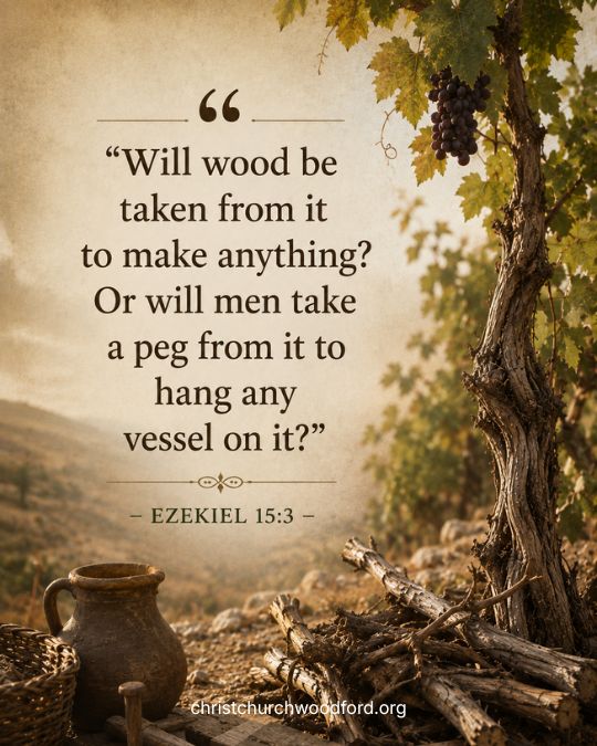 Ezekiel 15_3 Vine Symbolism in the Old Testament