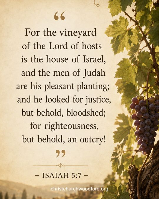 Isaiah 5_7 The symbolism of the vine