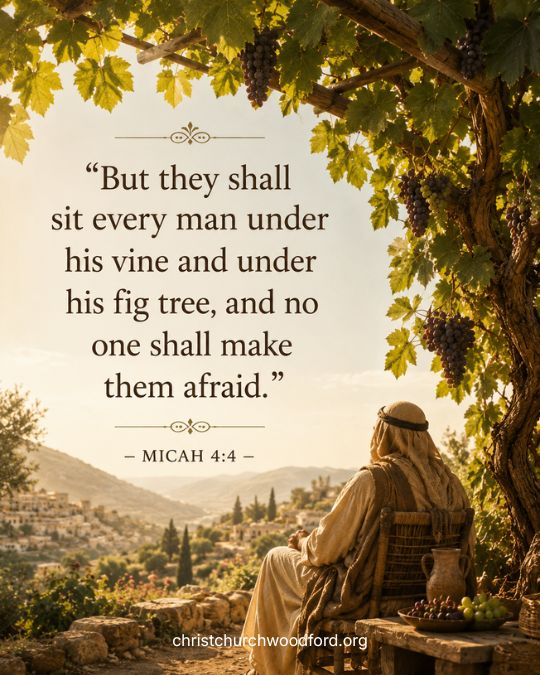 Micah 4_4 biblical meaning of vine