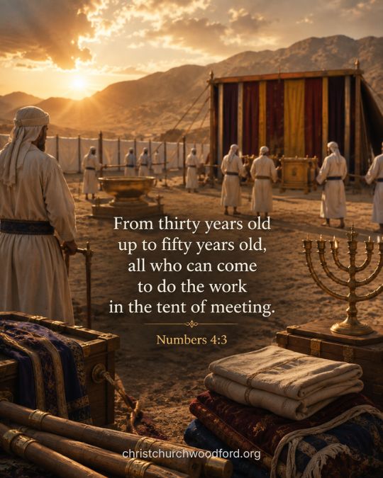 Numbers 4_3 Number Thirty as an Age of Readiness and Service