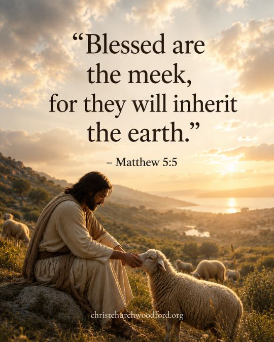 Matthew 5_5 the third Beatitudes