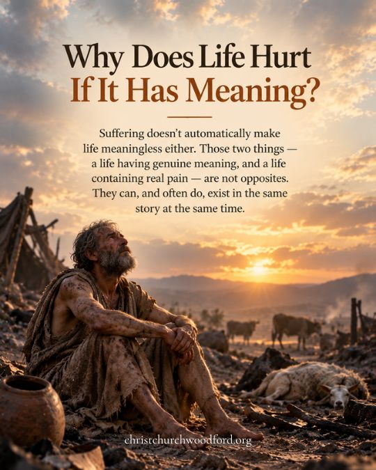 Why Does Life Hurt If It Has Meaning